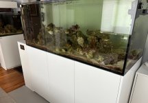 IMG_3535.jpeg
