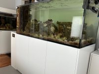 IMG_3536.jpeg