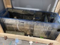 IMG_1106.jpeg