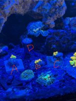 IMG_0906.jpeg