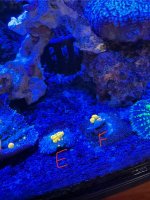 IMG_0908.jpeg