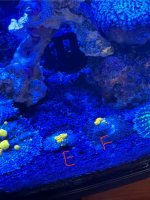 IMG_0917.jpeg