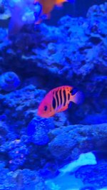 VideoCapture_20240224-180731.jpg