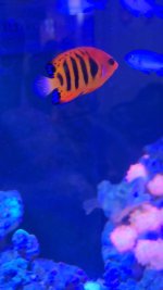 VideoCapture_20240224-180507.jpg