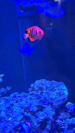 VideoCapture_20240224-180638.jpg