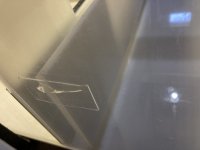 IMG_4762.jpeg