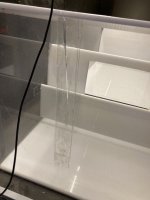 IMG_4757.jpeg