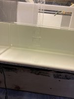 IMG_4810.jpeg