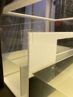 IMG_4813.jpeg