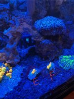 IMG_0998.jpeg