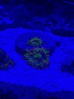 IMG_1136.jpeg
