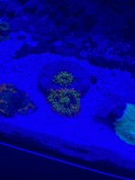IMG_1134.jpeg