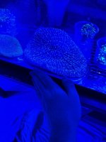 IMG_0613.jpeg