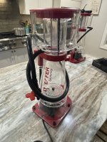 IMG_4200.jpeg