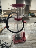 IMG_4199.jpeg