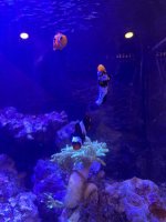 IMG_9157.jpeg
