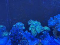 IMG_1311.jpeg