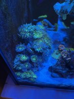 IMG_1312.jpeg