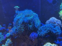 IMG_1279.jpeg