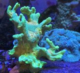 Space Invader 3.3.24.jpg