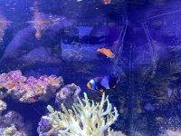 IMG_9193.jpeg