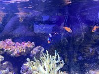 IMG_9194.jpeg