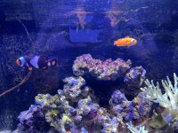 IMG_9195.jpeg