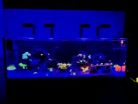 IMG_5302.jpeg