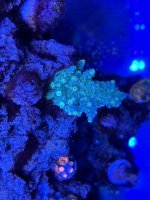 IMG_1867.jpeg