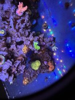 IMG_1877.jpeg