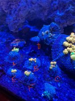 IMG_1112.jpeg