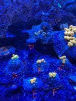 IMG_1111.jpeg