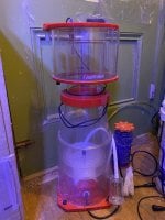 SKIMMER-030724.jpg