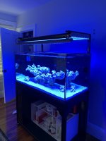 IMG_6745.jpeg