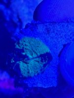 IMG_0148.jpeg