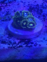 IMG_0139.jpeg