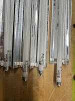 IMG_3680.jpeg