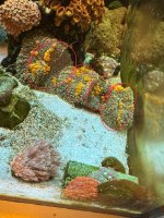 IMG_4188.jpeg