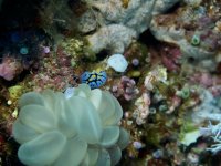 IMG_0362.jpeg