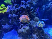 D2201630-A3E4-47F2-9EF7-AA192F99A565.jpeg