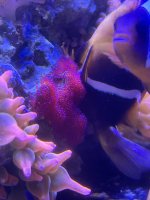 IMG_6309.jpeg