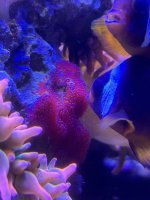 IMG_6315.jpeg