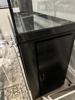IMG_2895.jpeg