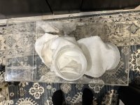IMG_2894.jpeg