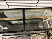IMG_2897.jpeg