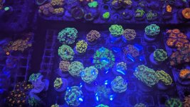 PXL_20240316_124413268.jpg