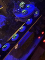 IMG_6883.jpeg