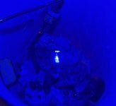 IMG_1325.jpeg
