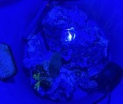 IMG_1326.jpeg