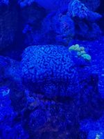IMG_1353.jpeg